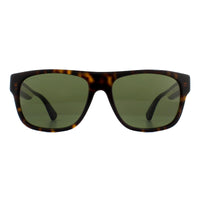Gucci GG0341S Sunglasses Havana / Green