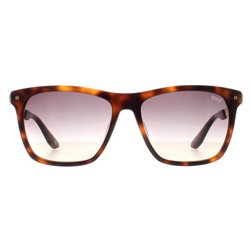 BMW Sunglasses BW0002-H 53B Blonde Havana Smoke Gradient