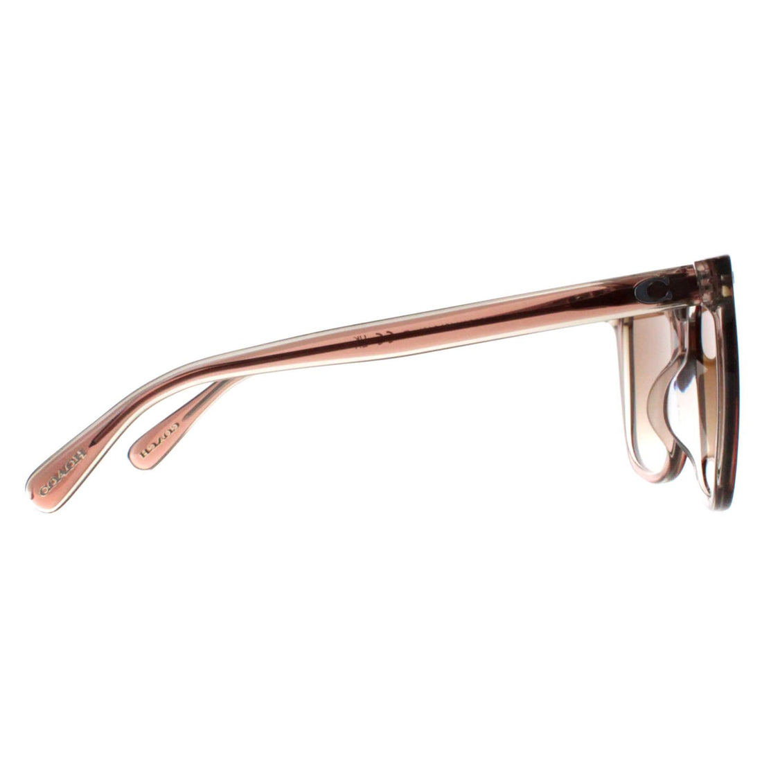 Coach Sunglasses HC8381U 577913 Brown Brown Gradient