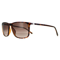 Boss Sunglasses 0665 DWJ HA Havana Brown Brown Gradient