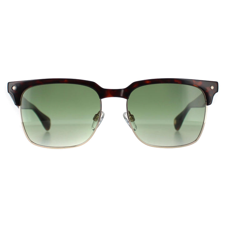 Ted Baker TB1681 Floyd Sunglasses Dark Demi / Green Gradient