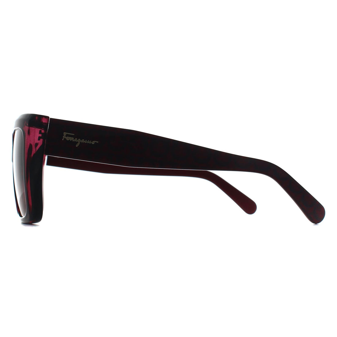 Salvatore Ferragamo Sunglasses SF1042S 525 Transparent Cyclamen Brown Gradient