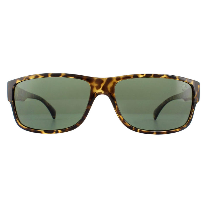 Timberland Sunglasses TB9064 52R Dark Havana Green