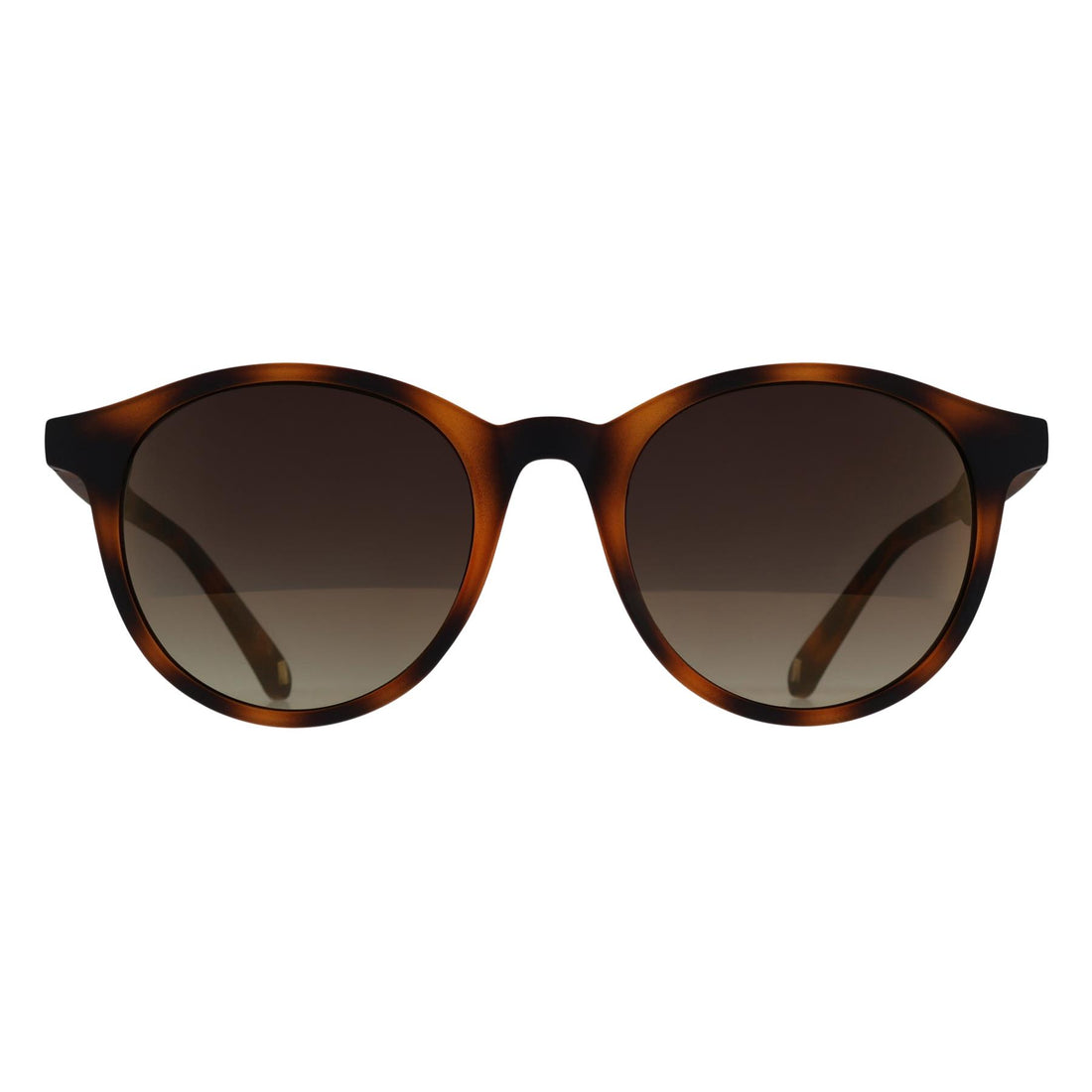 Ted Baker Sunglasses TB1503 Odell 173 Tortoiseshell Brown Gradient