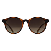 Ted Baker Sunglasses TB1503 Odell 173 Tortoiseshell Brown Gradient