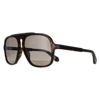 Police Sunglasses SPLE20 Lewis 38 0722 Shiny Dark Havana Brown Grey