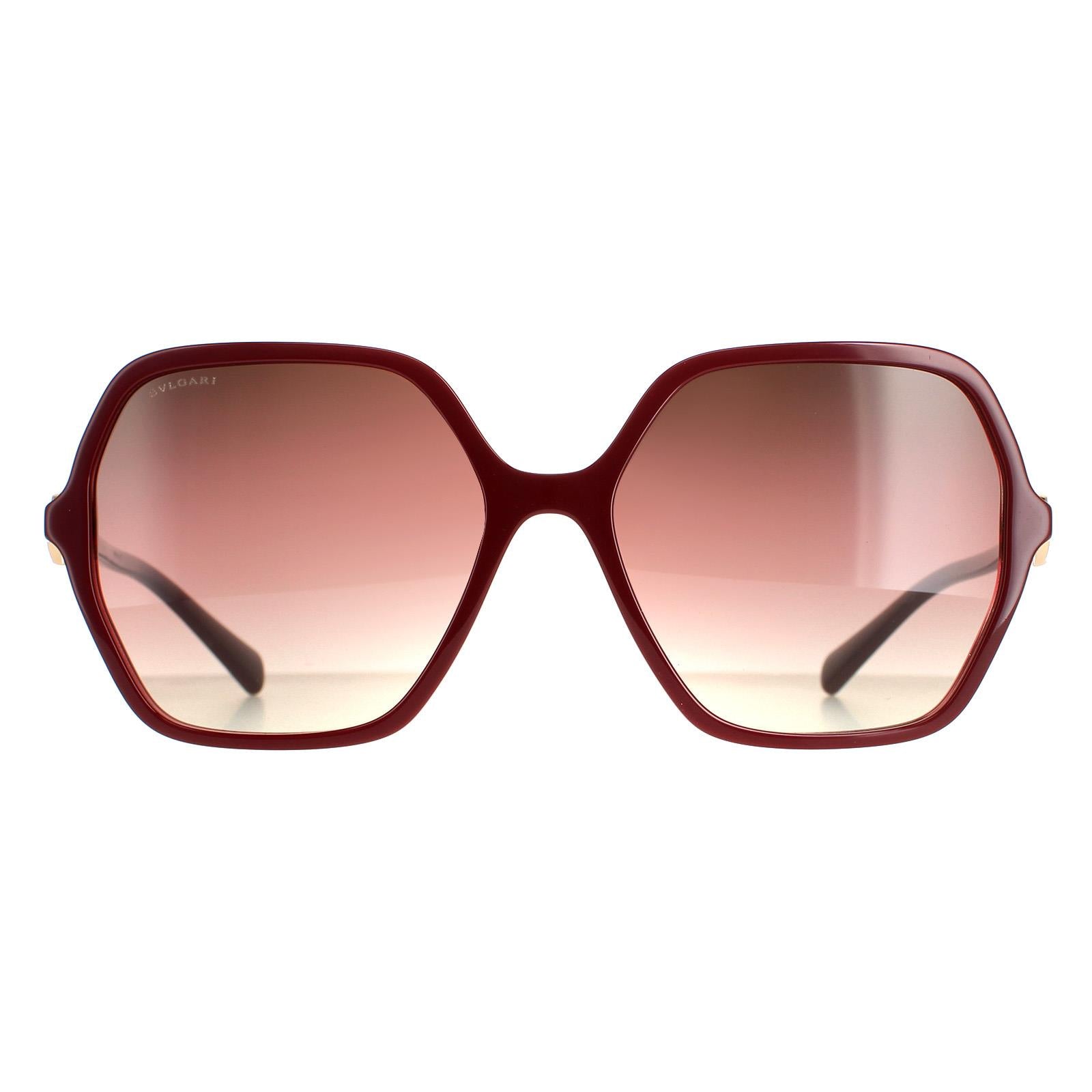Sunglasses BV8238B 5469E2 Bordeaux on Transparent Brown Purple Gradient