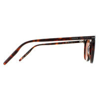 Serengeti Sunglasses Arlie 8937 Shiny Dark Havana Mineral Polarized Drivers