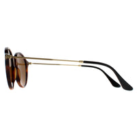 Ray-Ban Sunglasses Round Fleck 2447 1160 Tortoise & Gold Brown