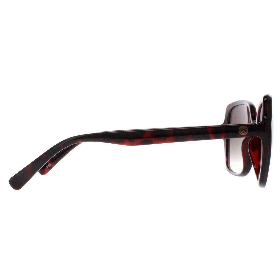 Smarty Sunglasses X2110 B Warm Demi Brown Tortoise Brown