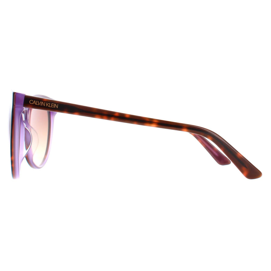 Calvin Klein Sunglasses CK18509S 238 Tortoise Milky Purple Brown