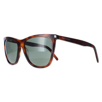 Saint Laurent Sunglasses SL 526 002 Shiny Medium Havana Solid Green