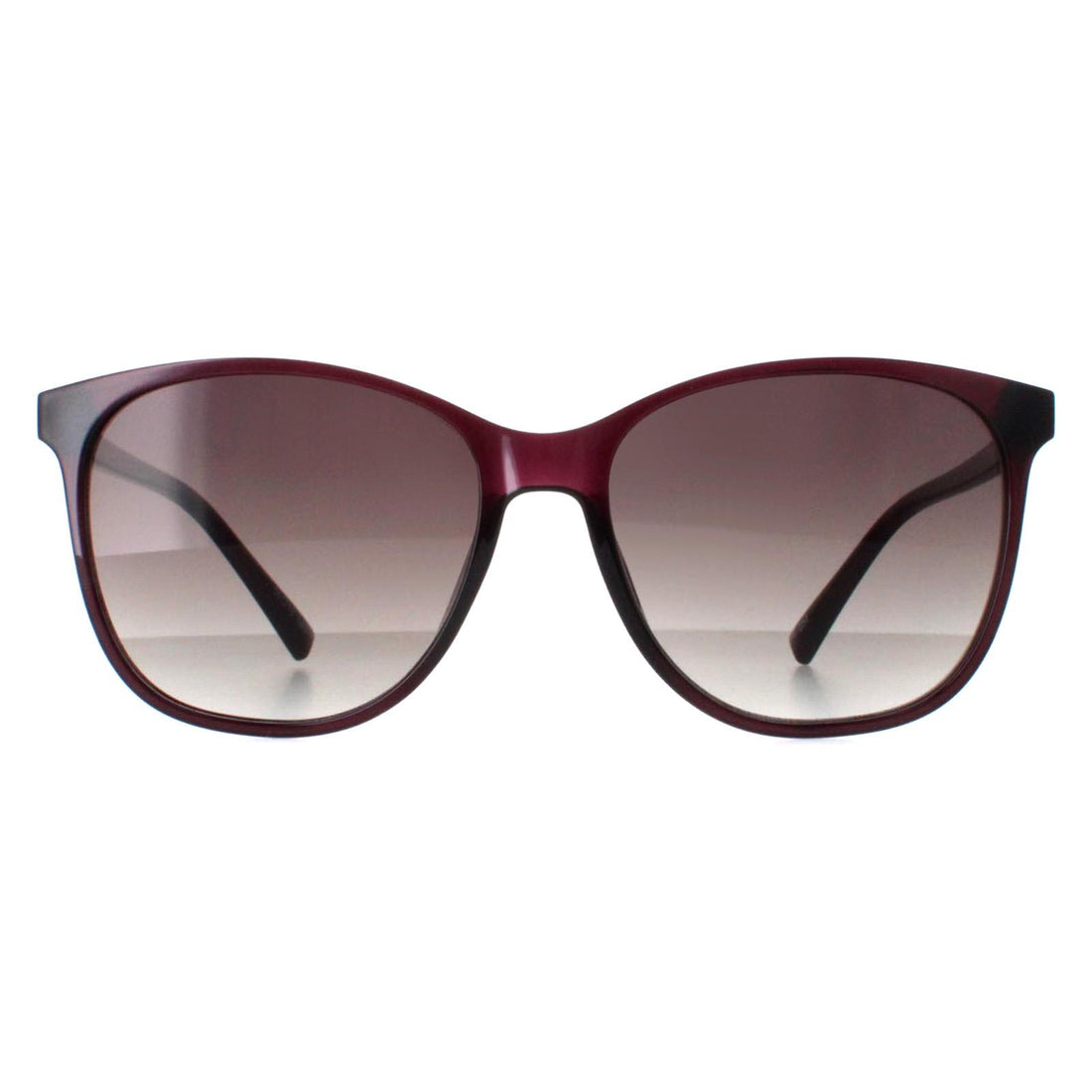 Smarty Sunglasses X2023 E Transparent Cassis Purple Grey