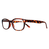 Montana Reading Glasses MP70A Turtle Men Women +1.50