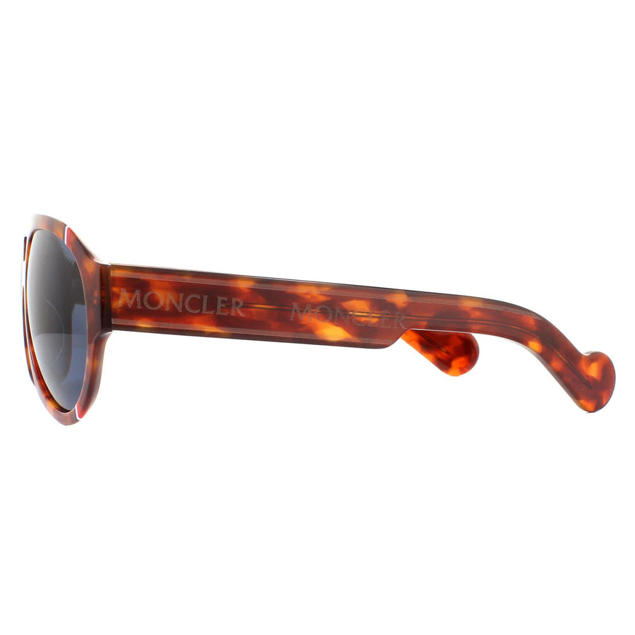 Moncler Sunglasses ML0095 56V Havana Blue