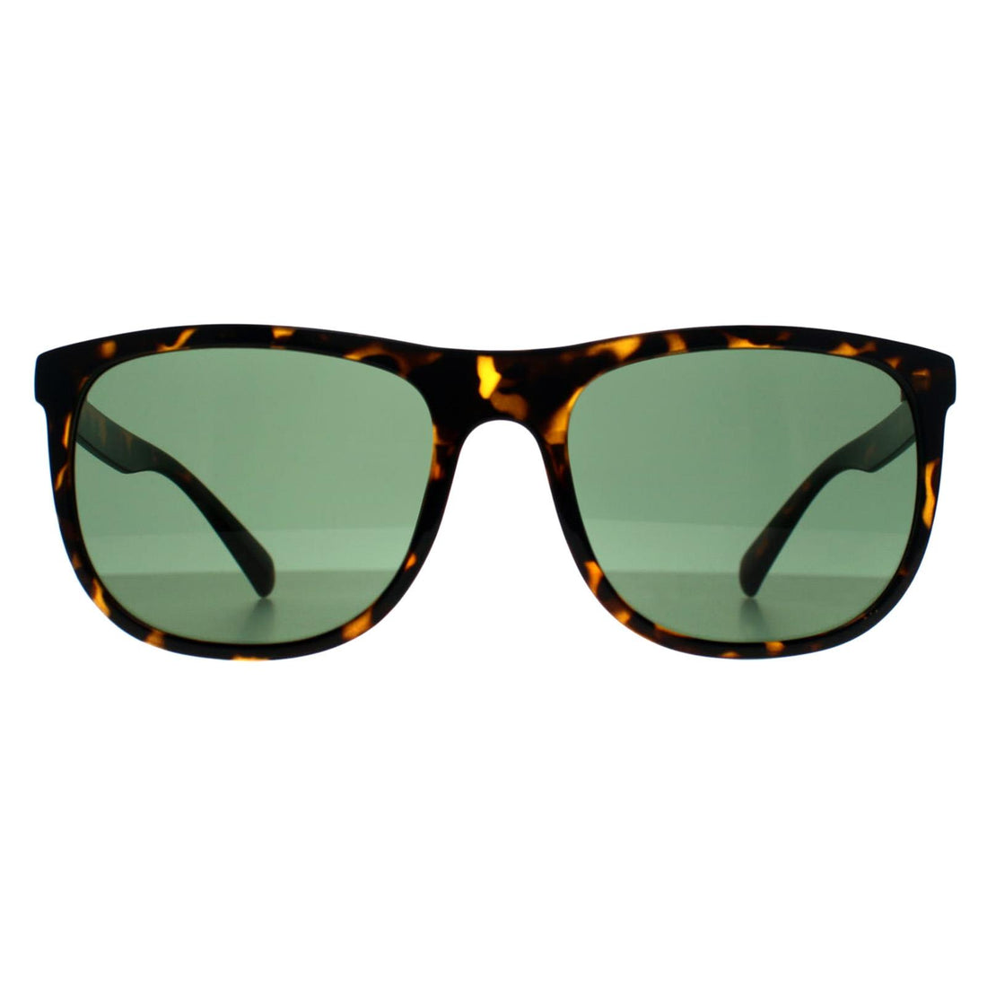 Calvin Klein Sunglasses CK22557S 240 Shiny Havana Green