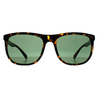 Calvin Klein Sunglasses CK22557S 240 Shiny Havana Green