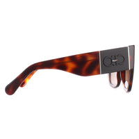 Salvatore Ferragamo Sunglasses SF1045S 238 Classic Tortoise Brown Gradient