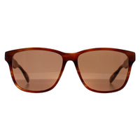Ted Baker Sunglasses TB8232 151 Brown Horn Brown