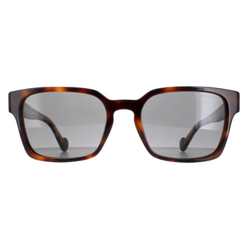 Moncler Sunglasses ML0143 56A Havana Grey