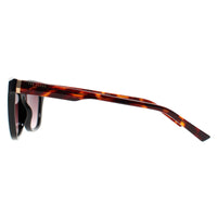 Ted Baker Sunglasses TB1639 Tanner 001 Black Tortoise Brown Gradient