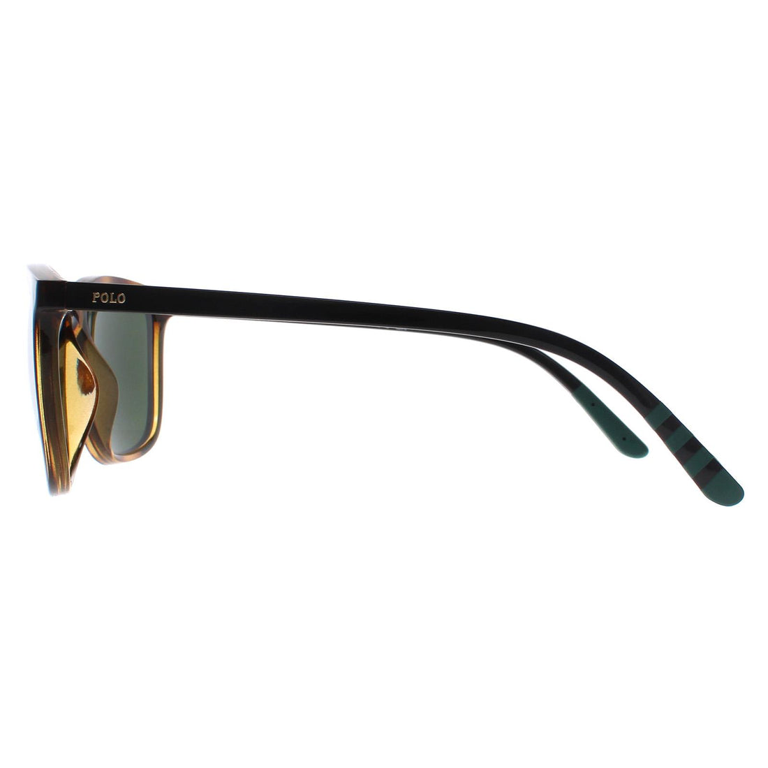 Polo havana glasses best sale