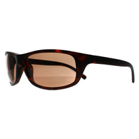 Serengeti Sunglasses Bormio 2.0 SS563003 Matte Tortoise Saturn Drivers Brown Photochromic