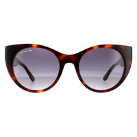 Lacoste L913S Sunglasses Havana / Blue Gradient