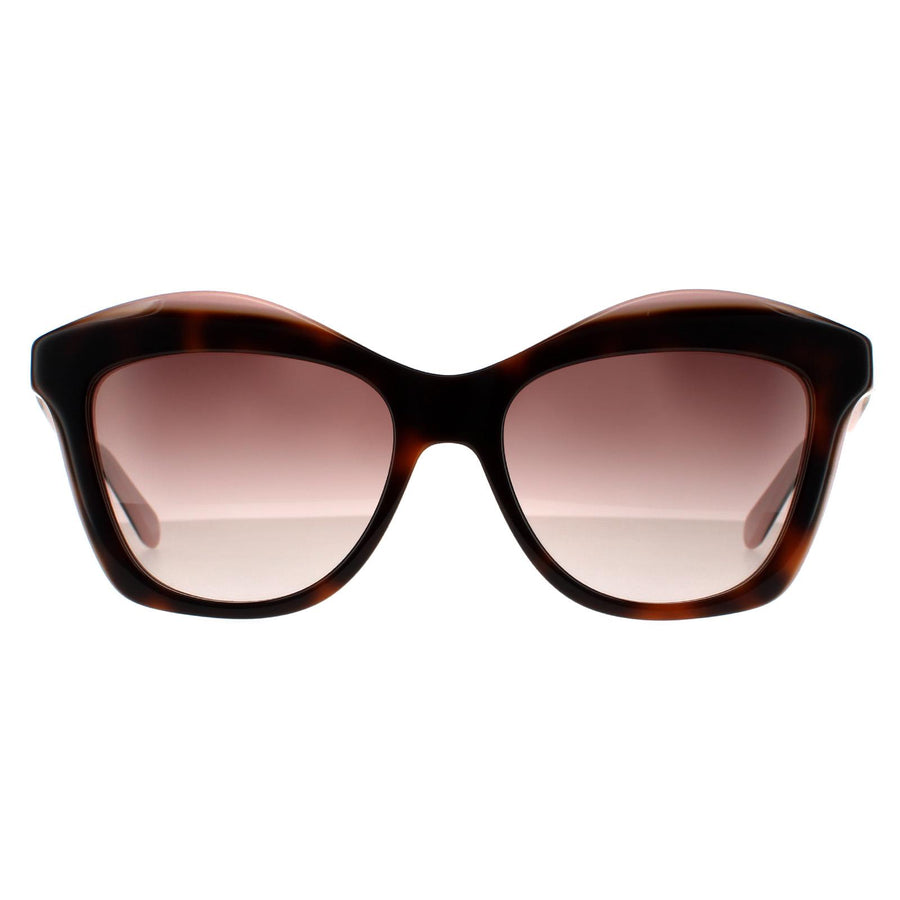Salvatore Ferragamo SF941S Sunglasses Tortoise Brown Rose / Brown Rose Gradient