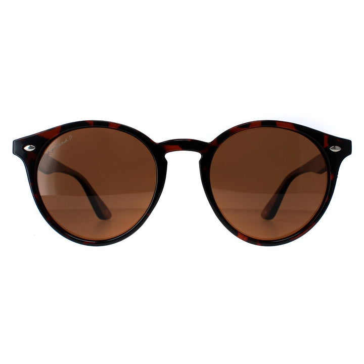 Montana Sunglasses MP20B Tortoise Brown Polarized