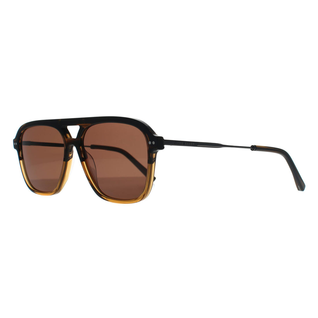 Ted Baker Sunglasses TB8259 122 Brown Horn Gradient Brown