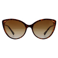 Bvlgari BV8246B Sunglasses Havana Brown Transparent / Brown Gradient Polarized