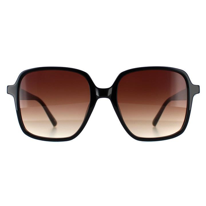Ted Baker Sunglasses TB1688 Romey 001 Black Brown Gradient
