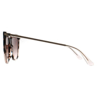 Calvin Klein Sunglasses CK22532S 663 Rose Tortoise Brown Gradient