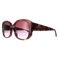 Coach Sunglasses HC8363U 57398H Petal Tortoise Pink Gradient