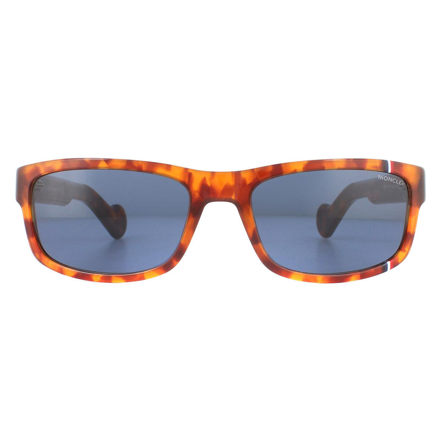 Moncler ML0114 Sunglasses Havana / Blue