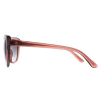 Smarty Sunglasses SB220 0C Rose Brown Grey