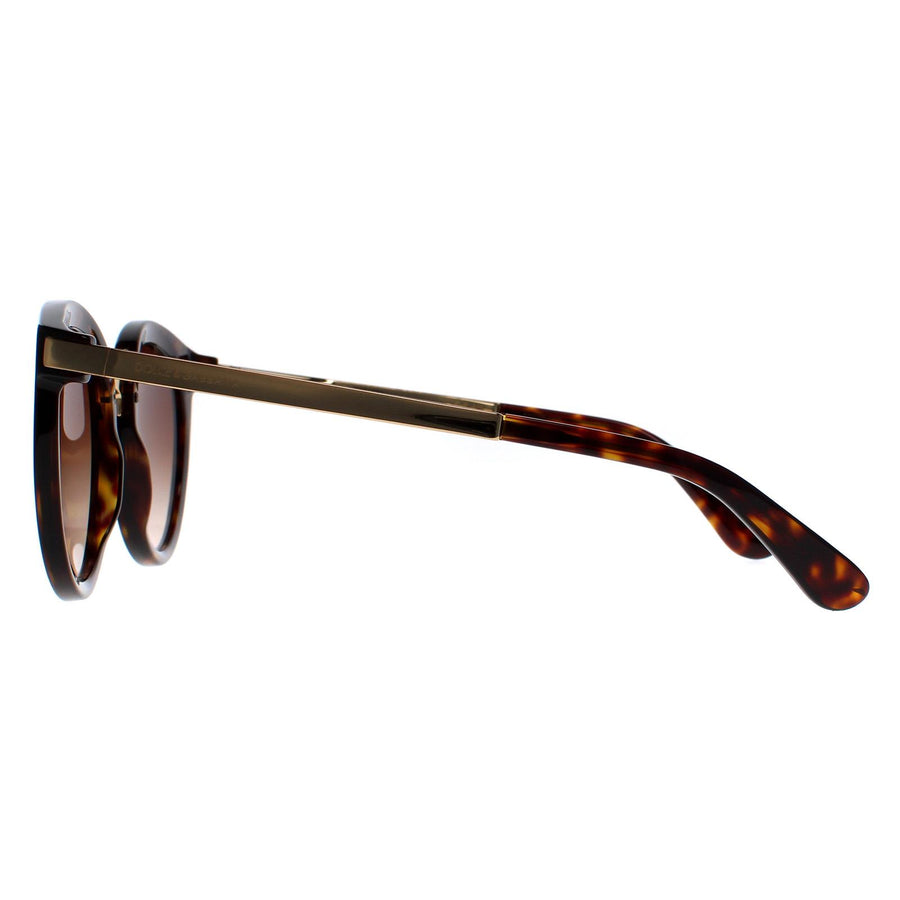 Dolce & Gabbana Sunglasses 4268 502/13 Dark Havana Brown Gradient