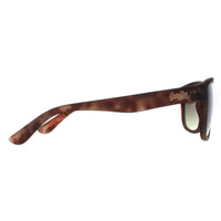Superdry Sunglasses Rockstar 170A Brown Brown