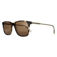 Lacoste Sunglasses L910S 214 Havana Brown
