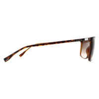 Boss Sunglasses 0665 DWJ HA Havana Brown Brown Gradient