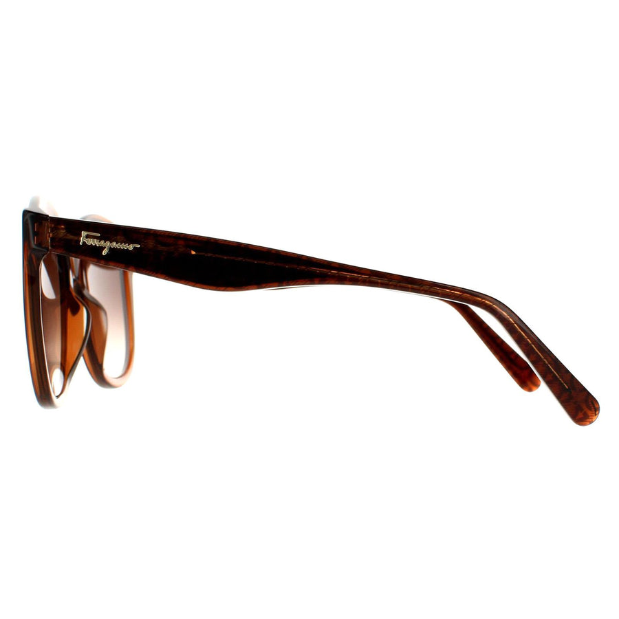 Salvatore Ferragamo Sunglasses SF977S 210 Crystal Brown Brown Gradient