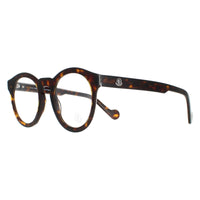 Moncler Glasses Frames ML5037 056 Havana Men