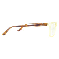 Carrera Glasses Frames CA6637 G40 Matte Clear and Havana Men