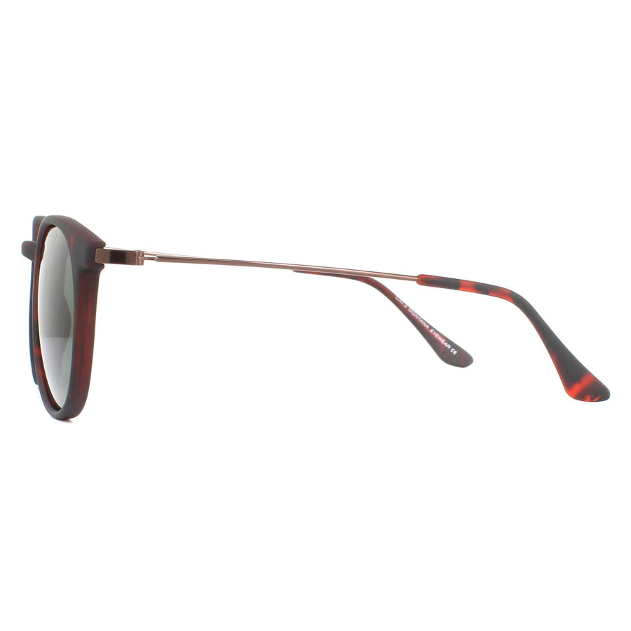 Montana Sunglasses MP33 D Brown Turtle Rubbertouch G15 Green Polarized