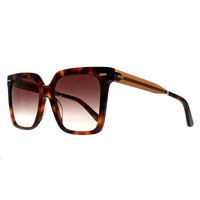 Calvin Klein Sunglasses CK22534S 220 Brown Havana Brown Gradient