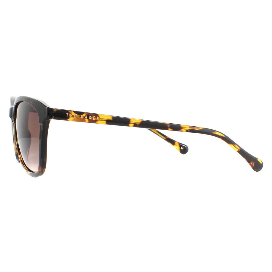 Ted Baker Sunglasses TB1440 Tari 122 Havana Brown Gradient