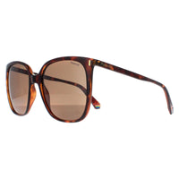Polaroid Sunglasses PLD 6218/S 086 SP Havana Bronze Polarized