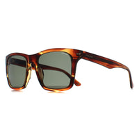 Police Sunglasses SPLN35 Champ 9 09N3 Shiny Striped Brown Green