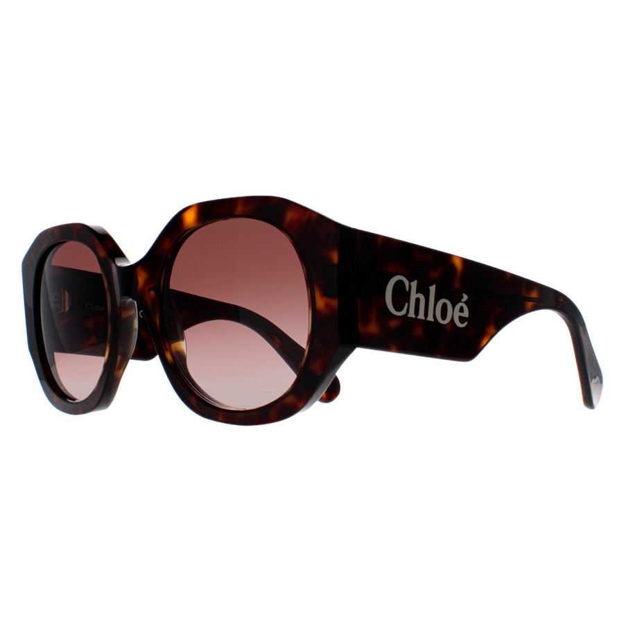 Chloe Sunglasses CH0234S 002 Dark Havana Brown Gradient